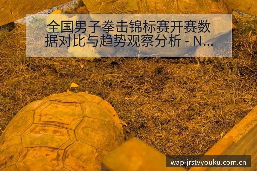 全国男子拳击锦标赛开赛数据对比与趋势观察分析 - NBA直播